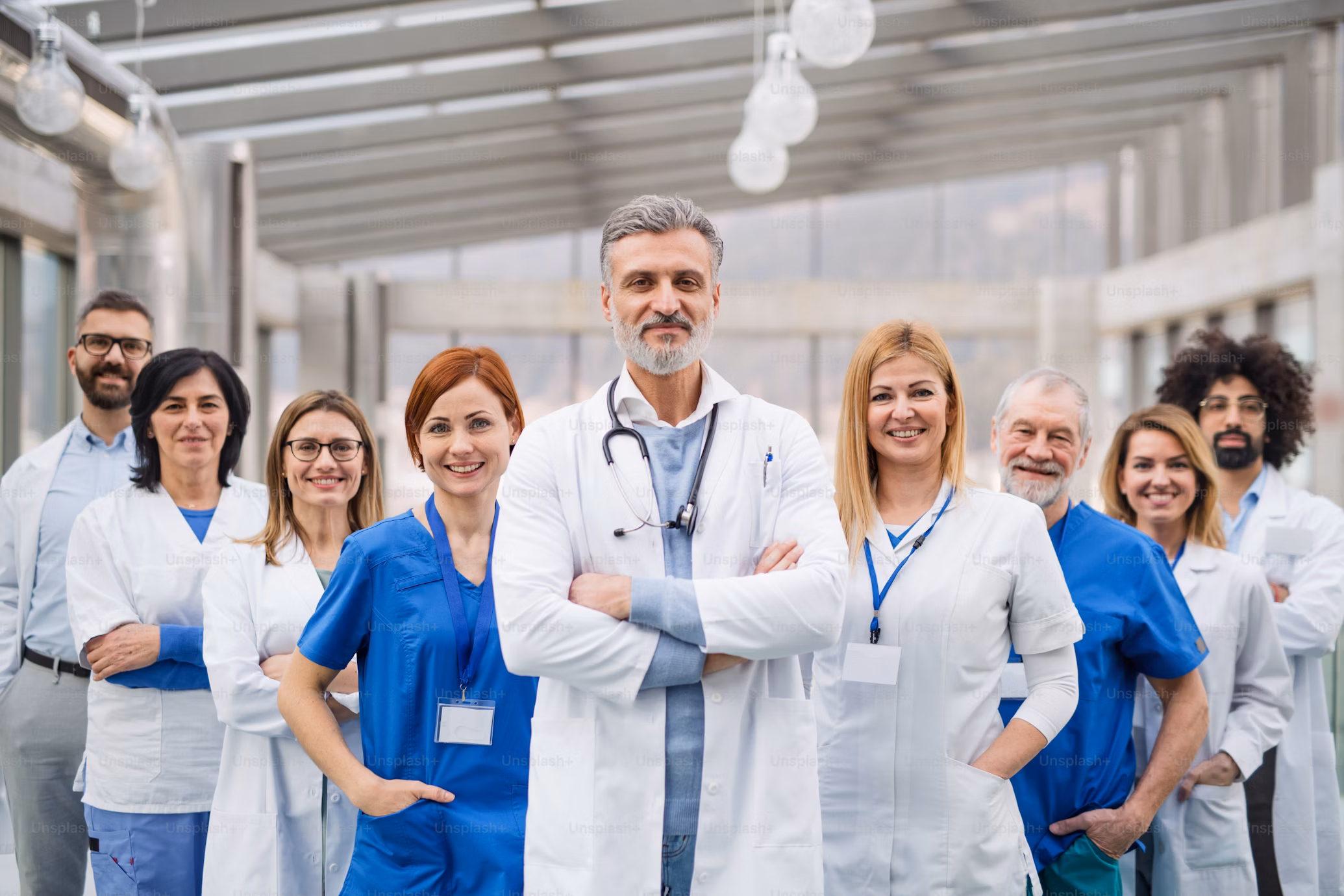 Meet the Team